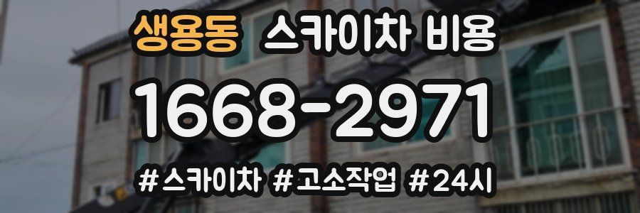 생용동 스카이차 비용