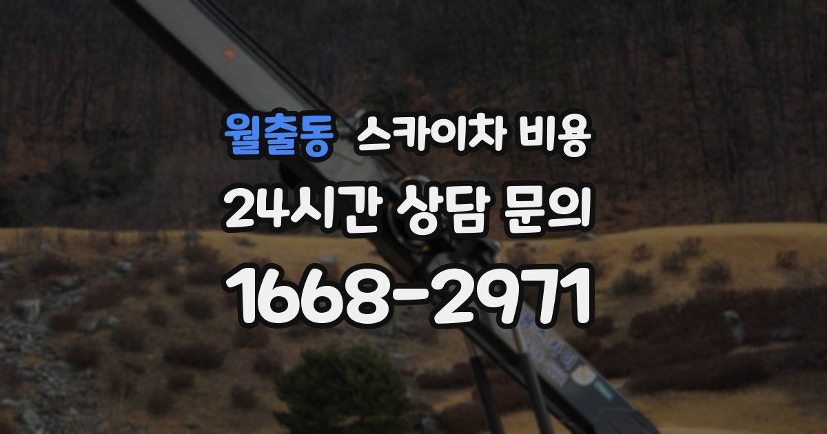 월출동 스카이차 비용