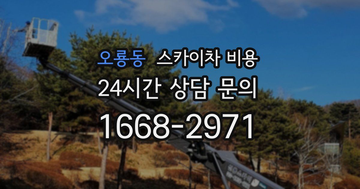 오룡동 스카이차 비용