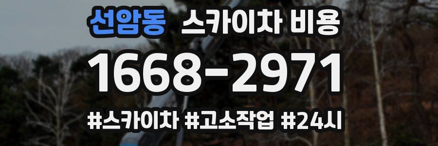 선암동 스카이차 비용