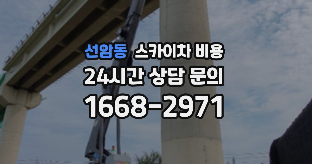 선암동 스카이차 비용