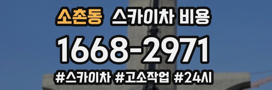 소촌동 스카이차 비용