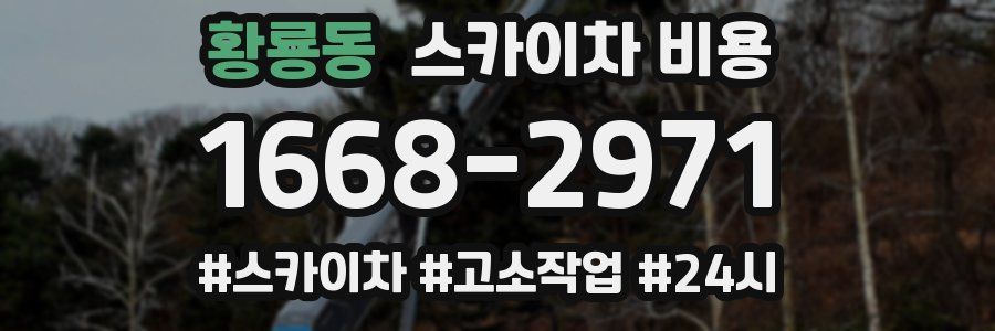 황룡동 스카이차 비용