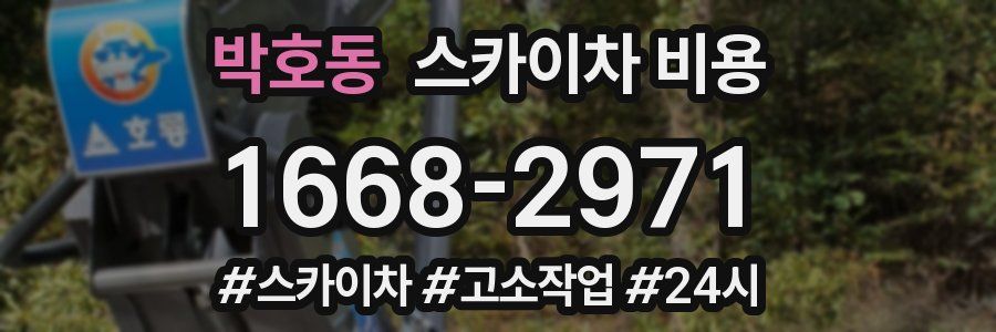 박호동 스카이차 비용