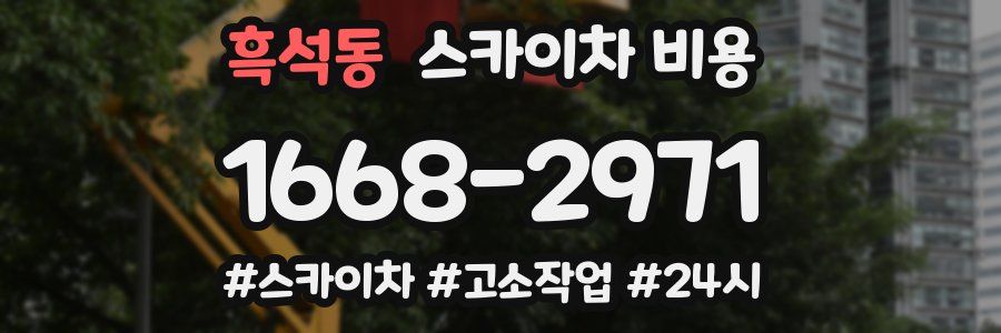 흑석동 스카이차 비용