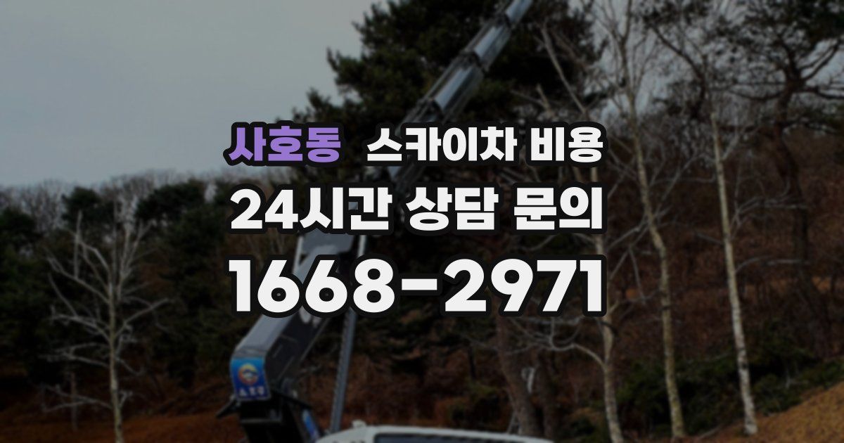 사호동 스카이차 비용