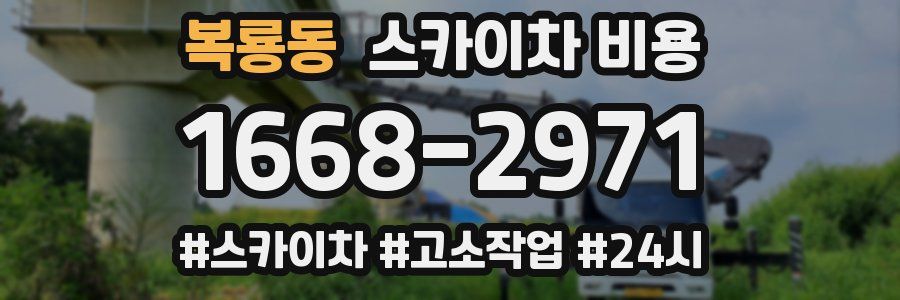 복룡동 스카이차 비용