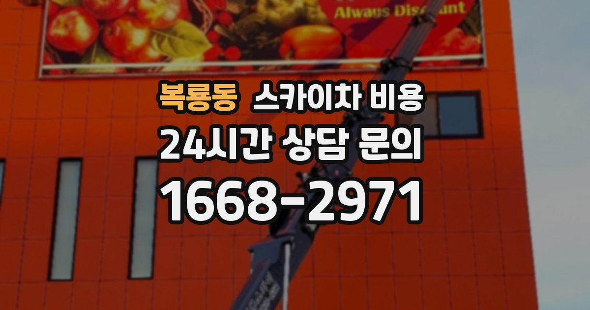 복룡동 스카이차 비용