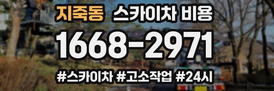 지죽동 스카이차 비용