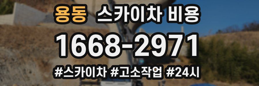 용동 스카이차 비용