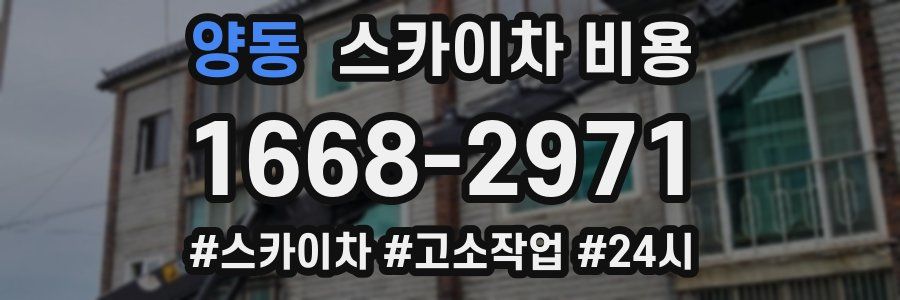 양동 스카이차 비용