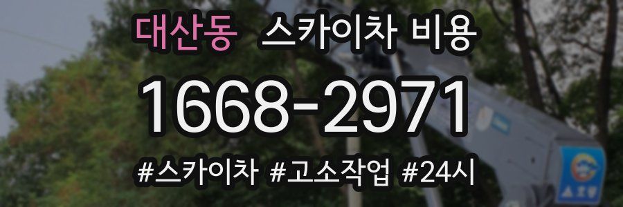 대산동 스카이차 비용