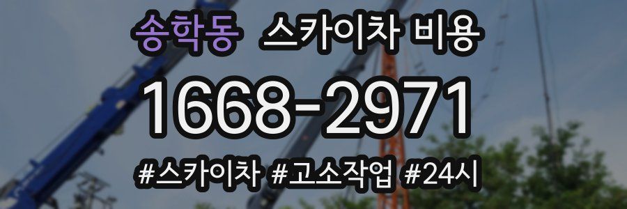 송학동 스카이차 비용