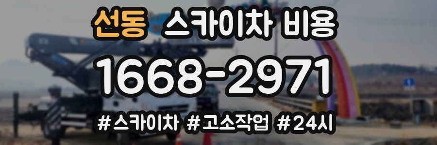 선동 스카이차 비용