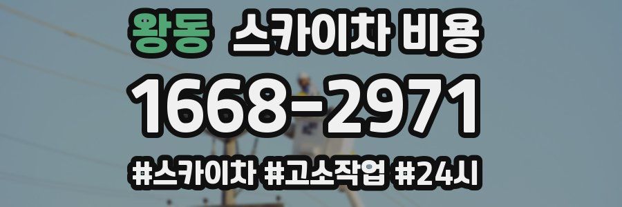 왕동 스카이차 비용