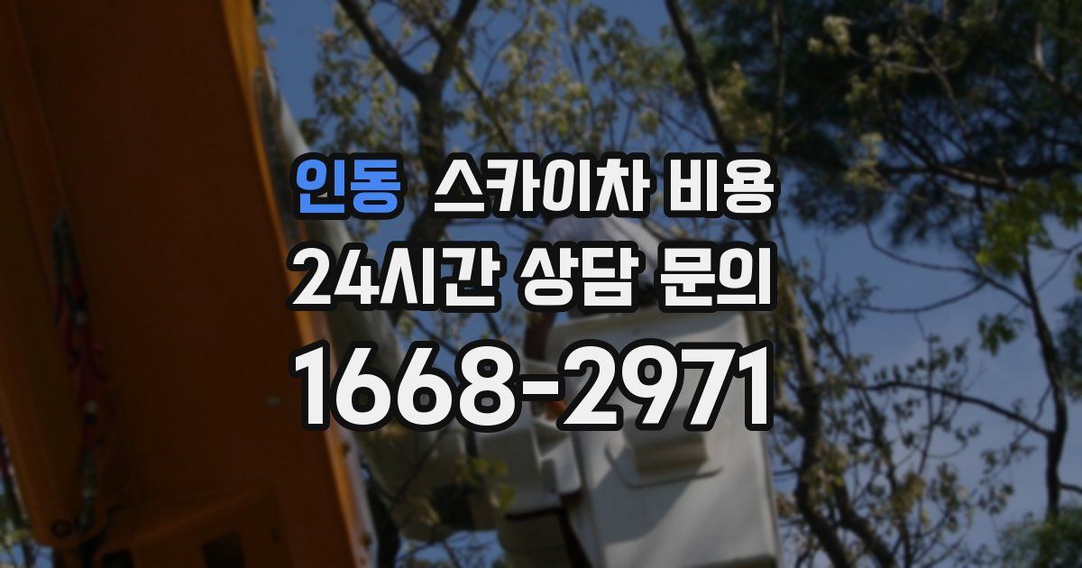인동 스카이차 비용