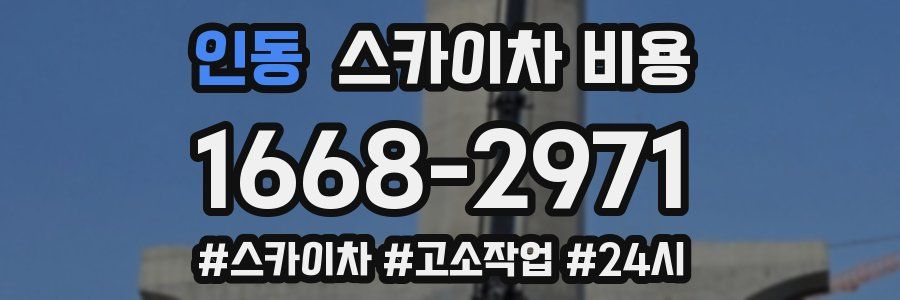인동 스카이차 비용