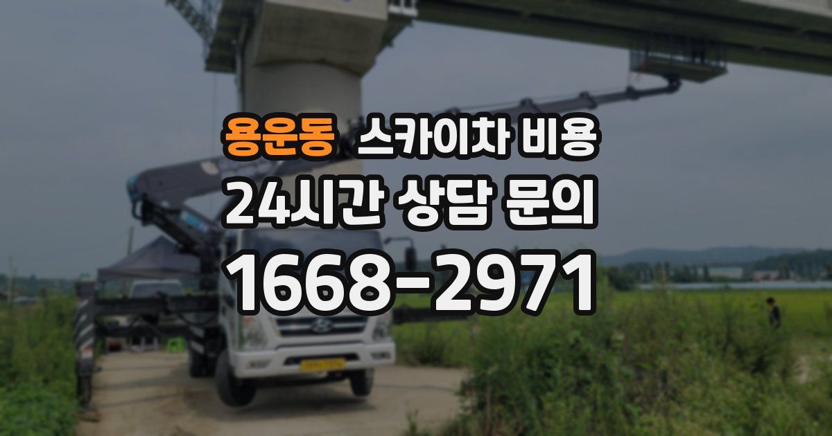 용운동 스카이차 비용
