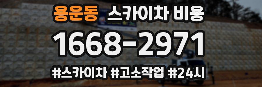 용운동 스카이차 비용