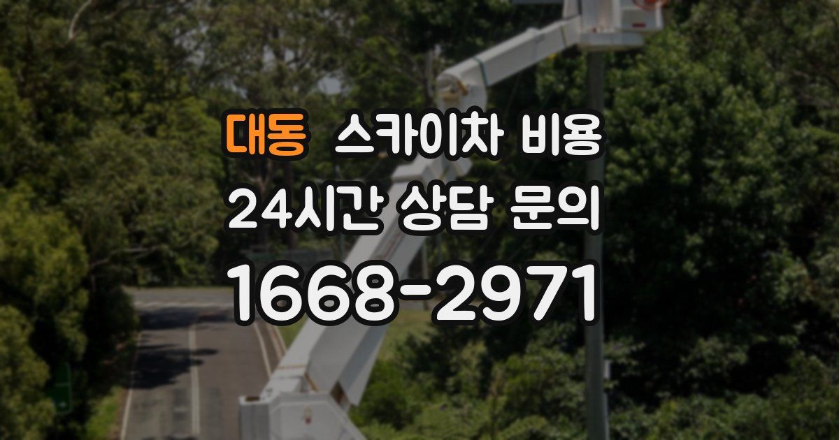 대동 스카이차 비용