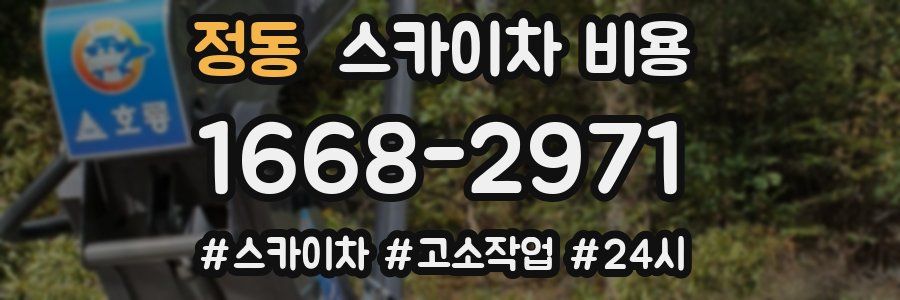 정동 스카이차 비용