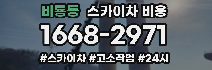 비룡동 스카이차 비용