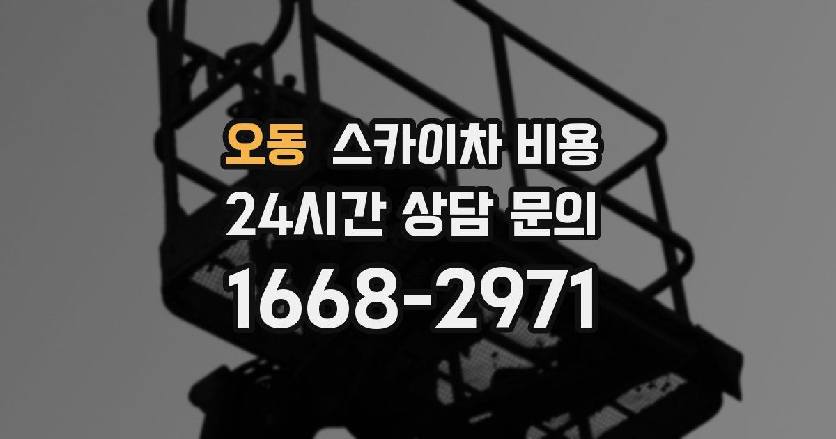 오동 스카이차 비용