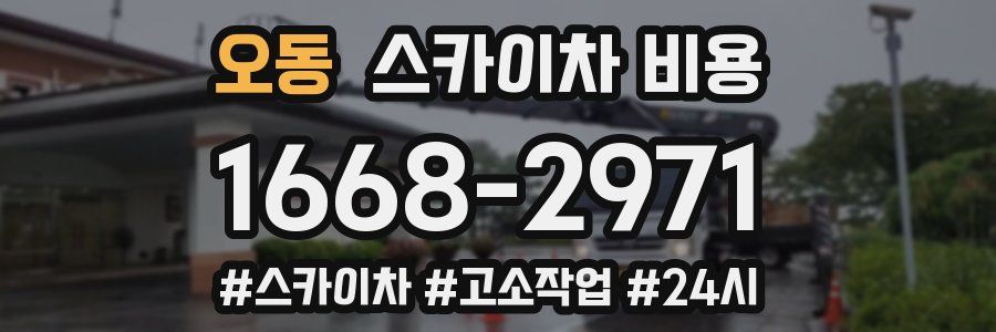 오동 스카이차 비용