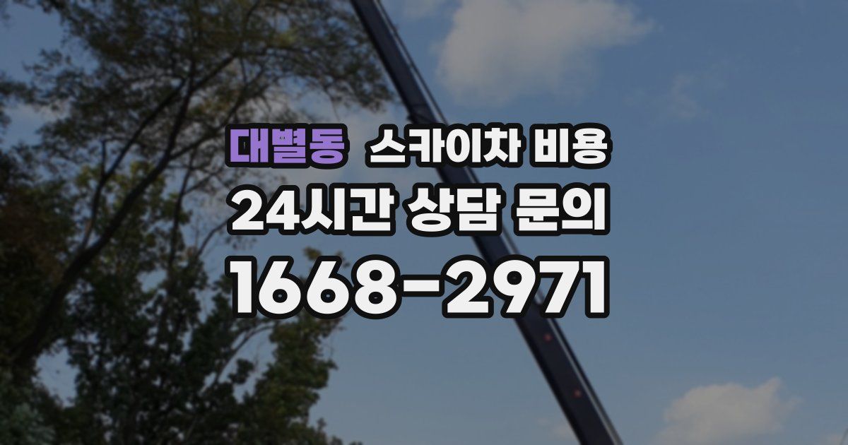 대별동 스카이차 비용