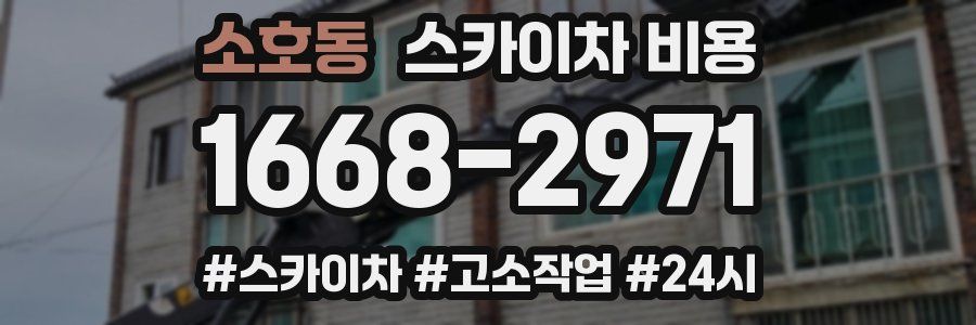 소호동 스카이차 비용