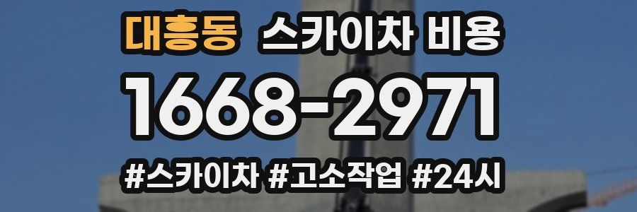 대흥동 스카이차 비용