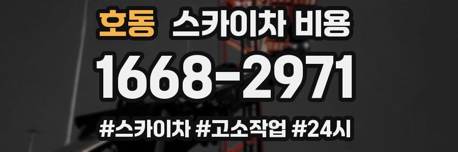 호동 스카이차 비용