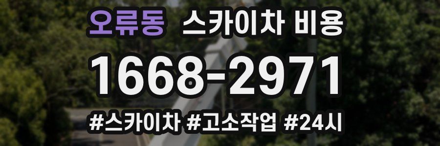 오류동 스카이차 비용