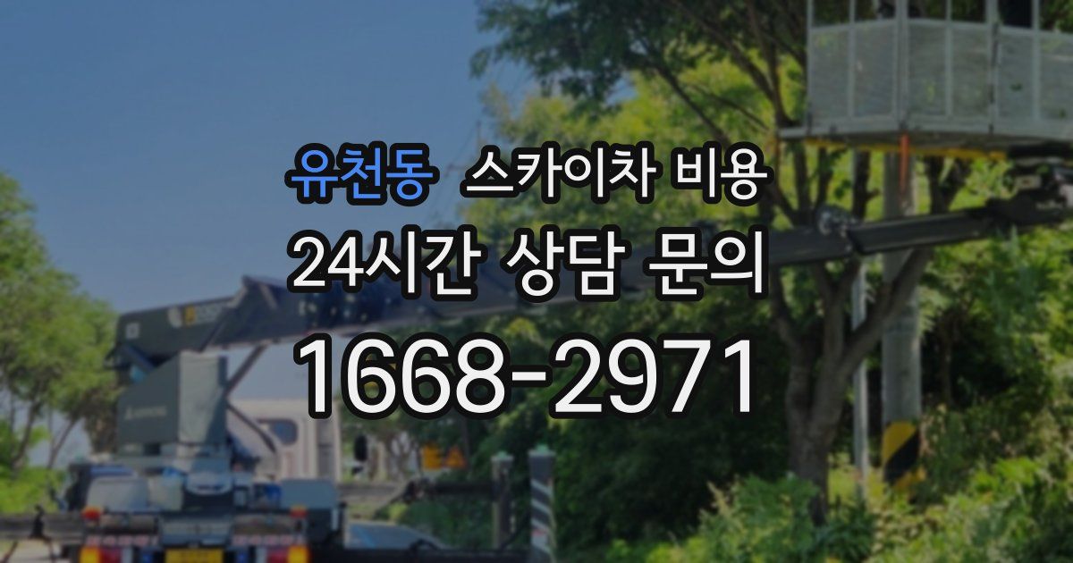 유천동 스카이차 비용