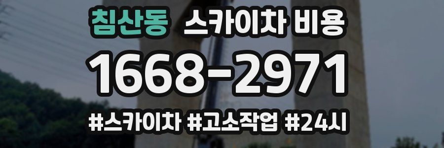 침산동 스카이차 비용