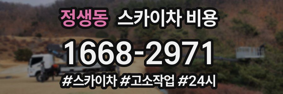 정생동 스카이차 비용