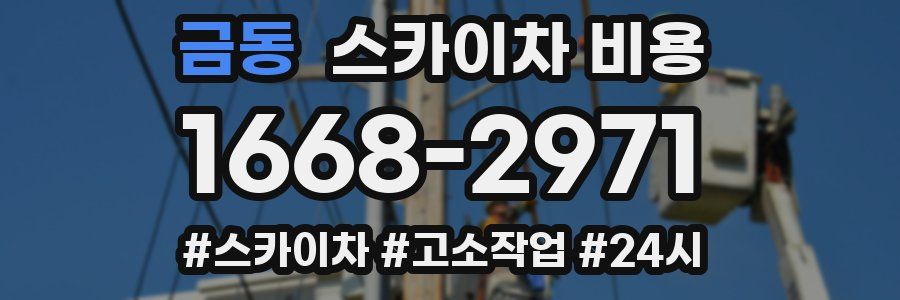 금동 스카이차 비용