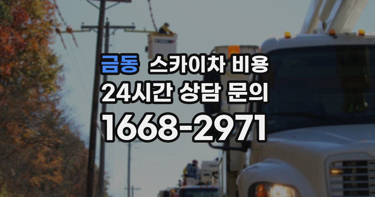 금동 스카이차 비용