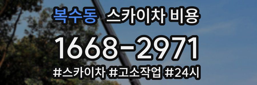 복수동 스카이차 비용