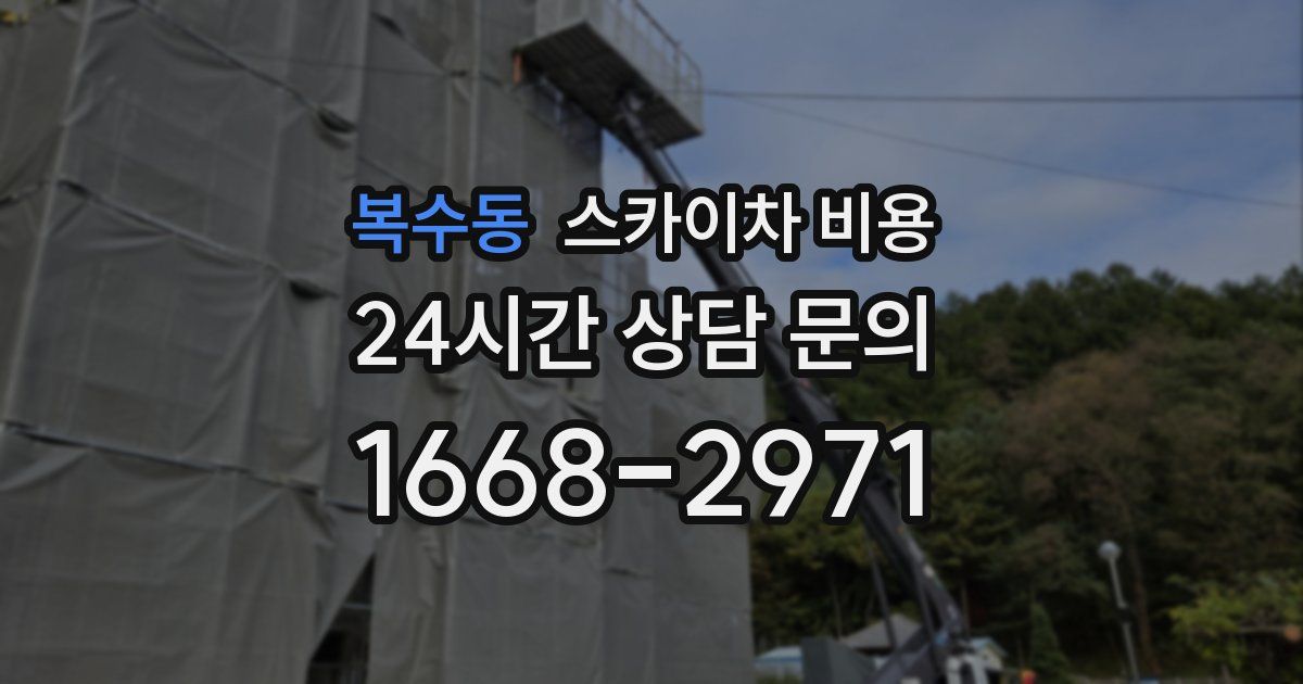 복수동 스카이차 비용