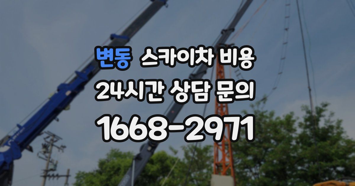 변동 스카이차 비용