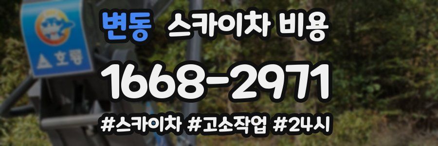 변동 스카이차 비용