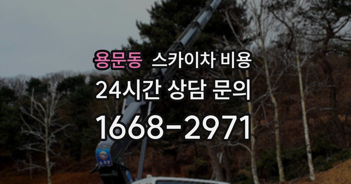 용문동 스카이차 비용