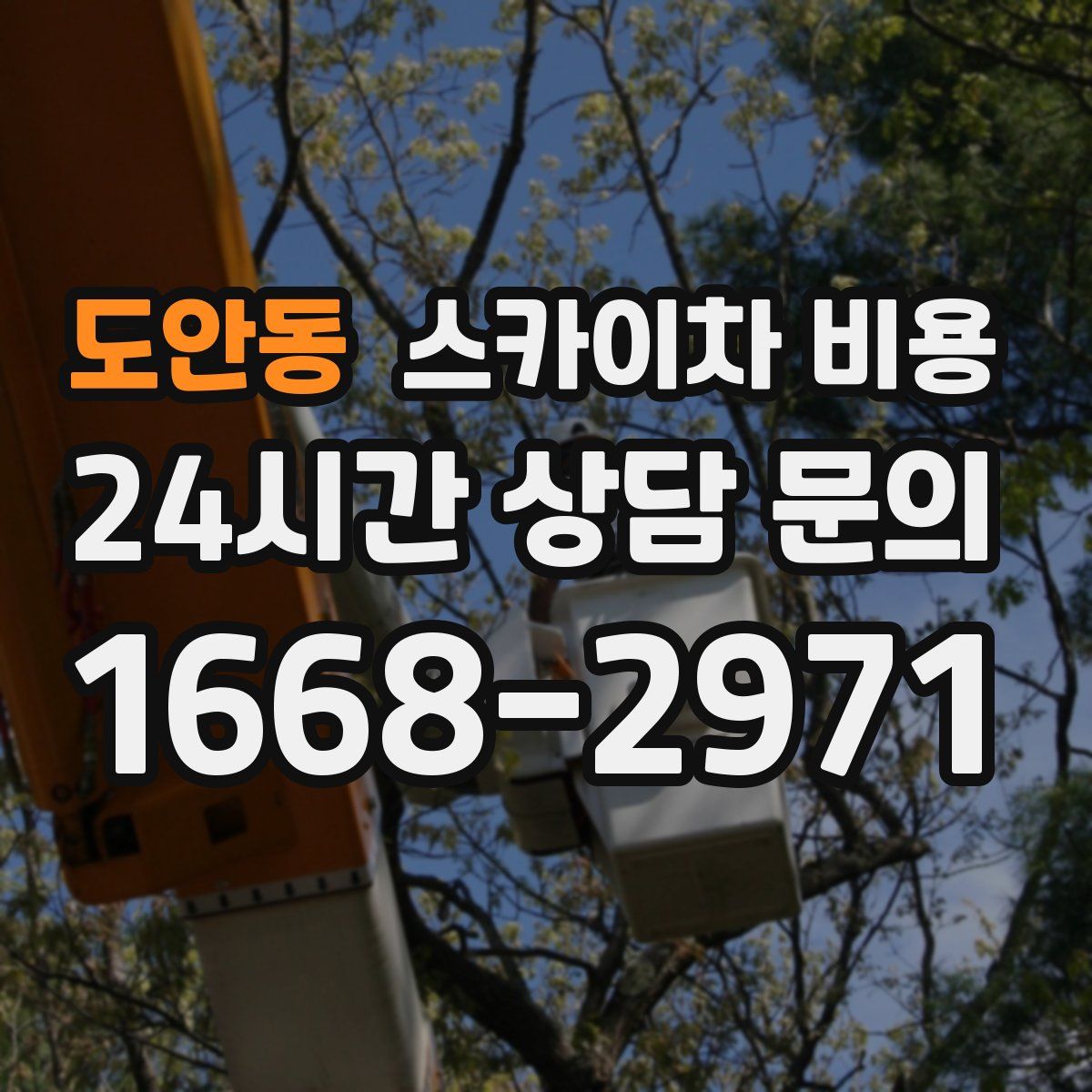 도안동 스카이차 비용