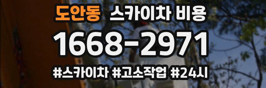 도안동 스카이차 비용