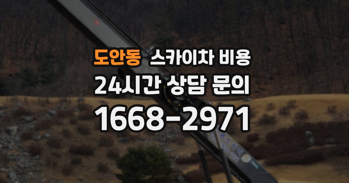 도안동 스카이차 비용