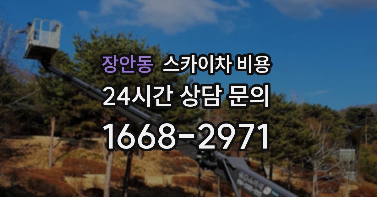 장안동 스카이차 비용
