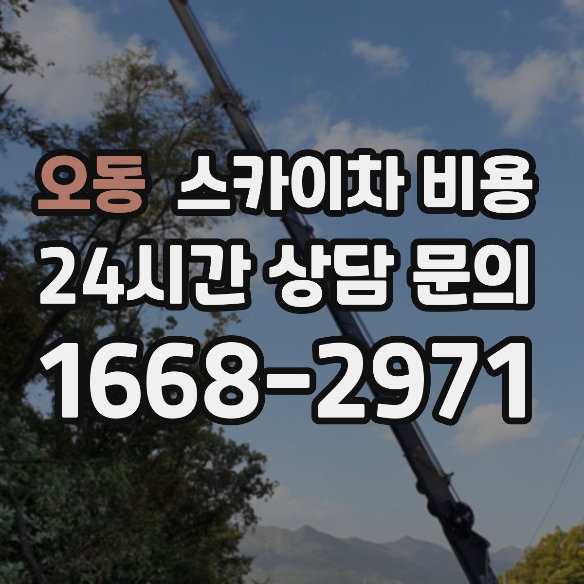 오동 스카이차 비용 단시간 작업과 반나절 작업의 차이