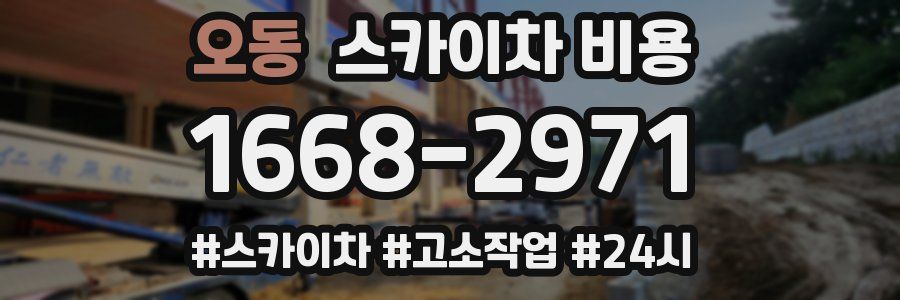 오동 스카이차 비용