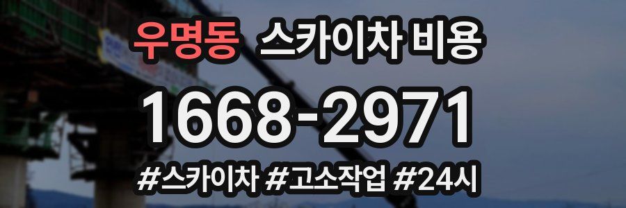우명동 스카이차 비용
